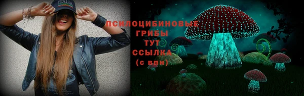 дмт Аркадак