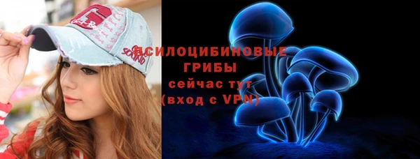 дмт Аркадак