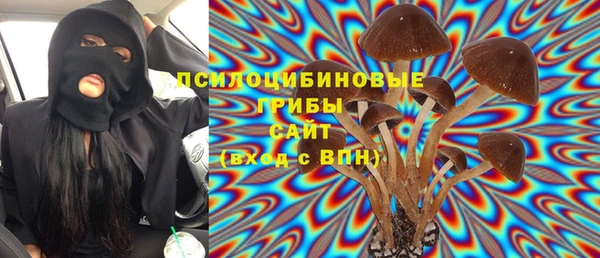дмт Аркадак