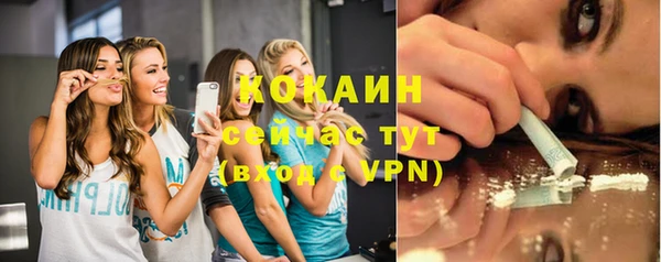 дмт Аркадак
